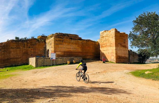 Paderne guided bike tour
