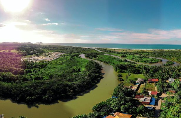 Tamau mangrove wildlife and fireflies tour