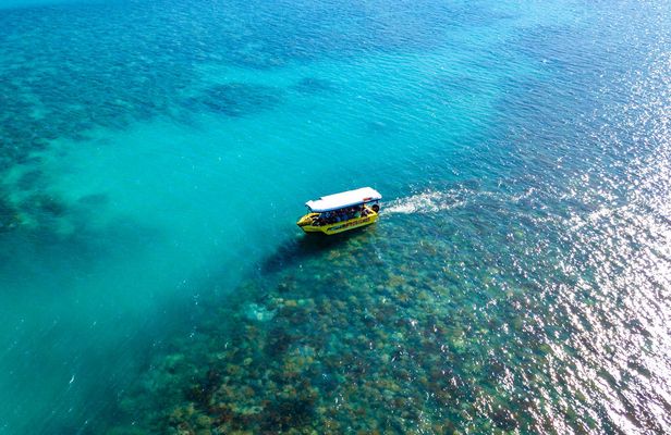 Airlie Beach glass bottom boat tour