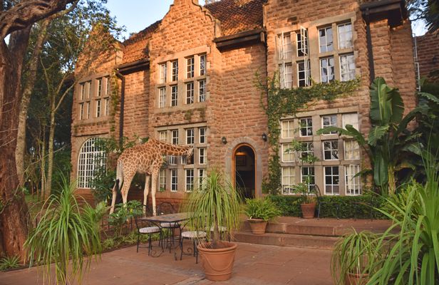 Half-day Karen Blixen Museum and Giraffe Center tour