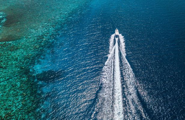 Private half-day tour on a speedboat from Dubrovnik