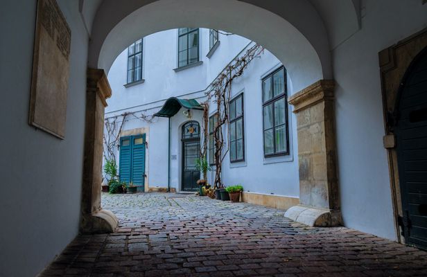 Secrets in the heart of Vienna walking tour