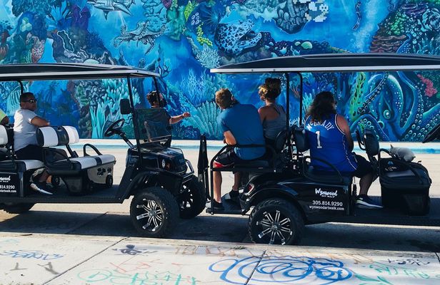 Wynwood graffiti golf cart tour
