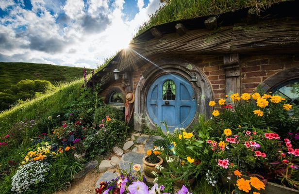 Middle earth experience - Hobbiton movie set and Glowworm cave tour