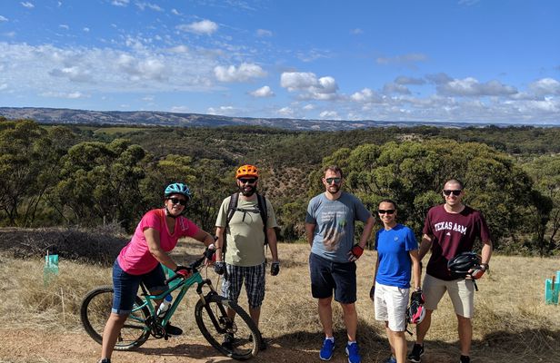 Full-day McLaren Vale bike and wine tour