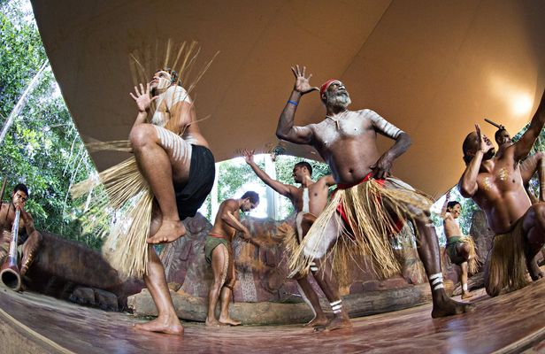 Pamagirri Aboriginal experience and Kuranda tour