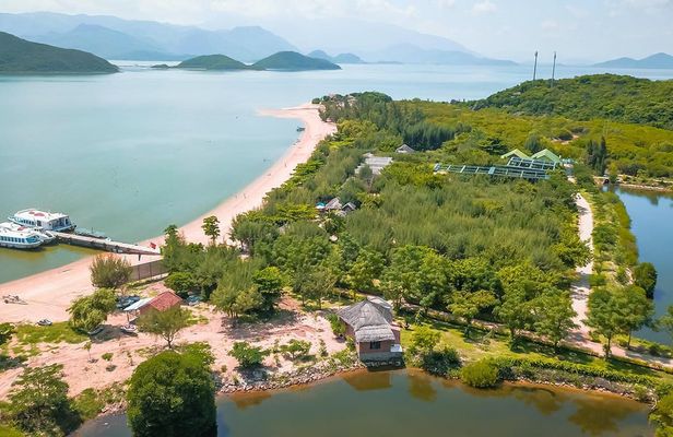Half-day guided tour to Monkey Island with lunch and transport