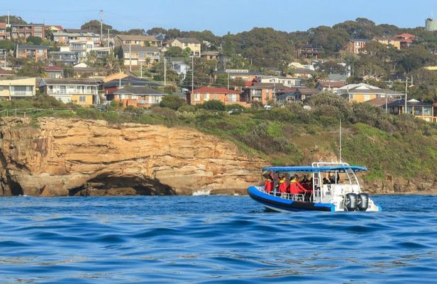 Hunter coastal adventure boat tour