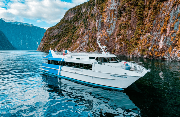 Milford Sound boutique small boat day cruise