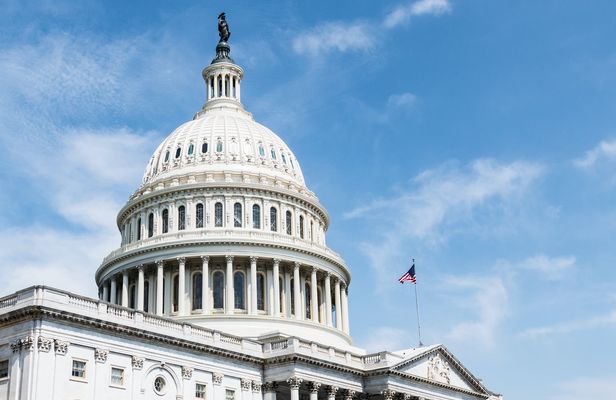 Semi-private tour of Capitol Hill Walking