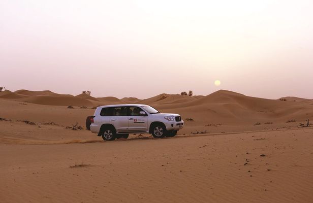 Private morning desert safari from Abu Dhabi