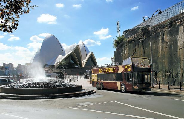 Big Bus tour of Sydney
