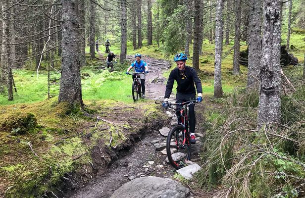 Guided mountain bike tour through the Voss hills