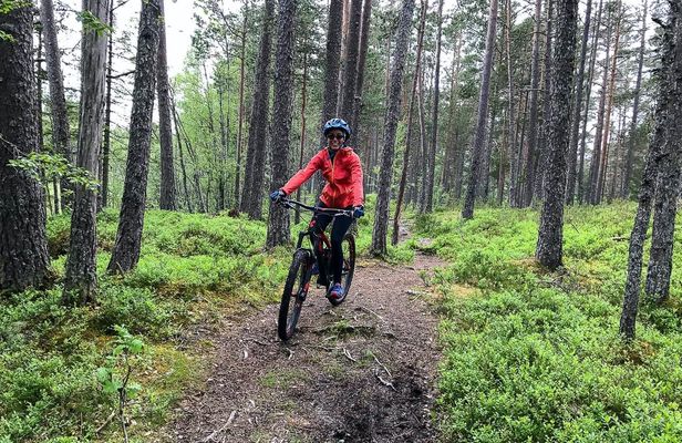 Mountain biking experience through the Voss forest