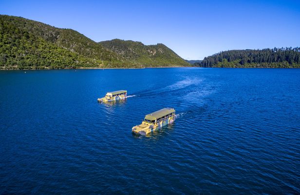 Rotorua city and lakes tour