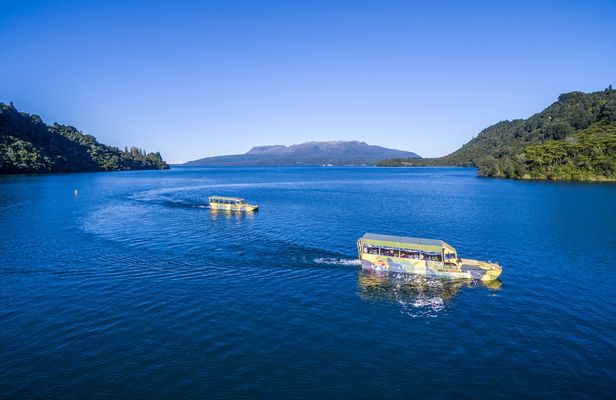 Tarawera and lakes eco tour