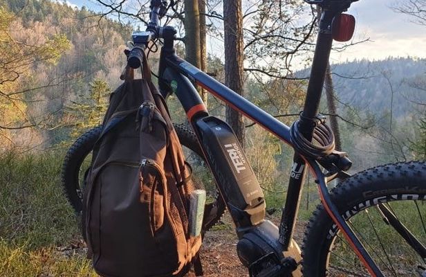 Guided e-bike tour in the Bavarian Forest National Park