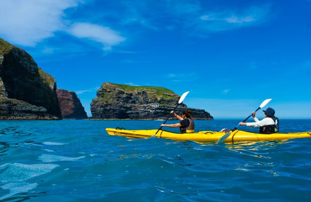 Early bird scenic kayak safari tour