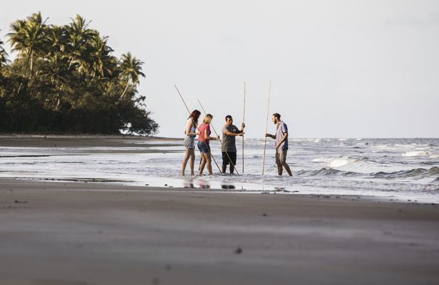 Private full day tour around Daintree and Mossman
