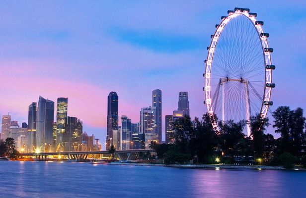 Singapore Flyer observation wheel and Time Capsule entry tickets