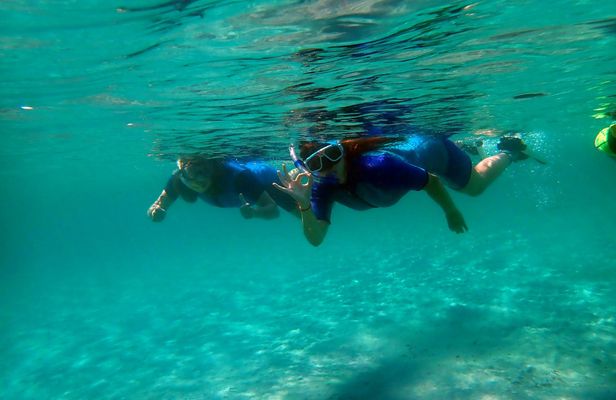 Tabarca Island snorkeling trip from Santa Pola