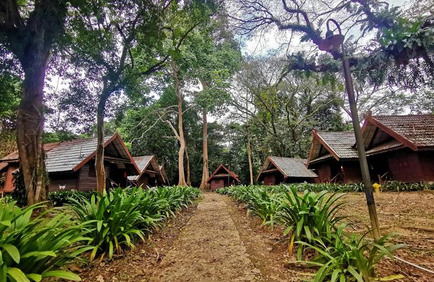 Taman Negara jungle tour