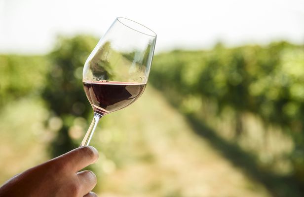 Redwoods and Wine Country combo tour with wine tasting