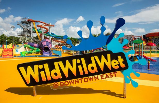 Wild Wild Wet Waterpark Entrance Ticket