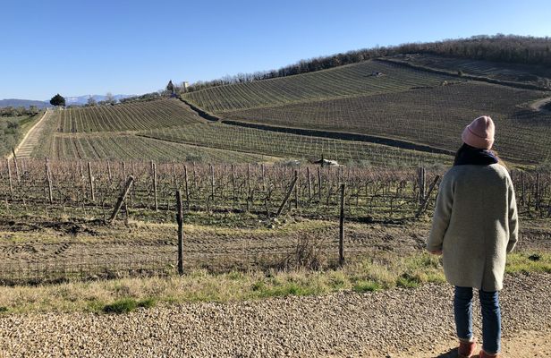 Small-group hike and wine tasting in Chianti with lunch