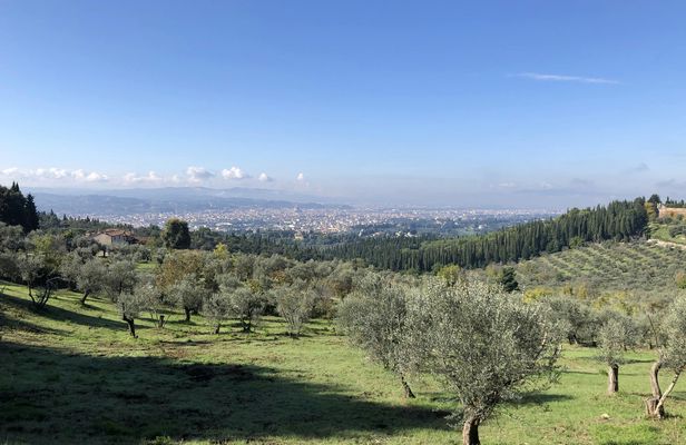 Half-Day Hiking Tour in Fiesole's Hills with Wine and Lunch