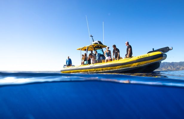 North Shore Oahu snorkeling tour