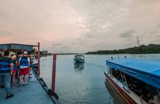 Guided tour of Kuala Lumpur with Batu Caves and fireflies village