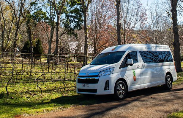 Guided Mount Tamborine wine tour from Gold Coast with lunch