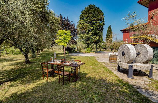 Aperitif at the oil mill with tasting of olive oil at Lake Garda