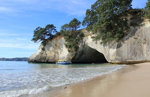 Tour of the Coromandel