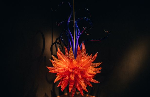 Matakana art and wine escape