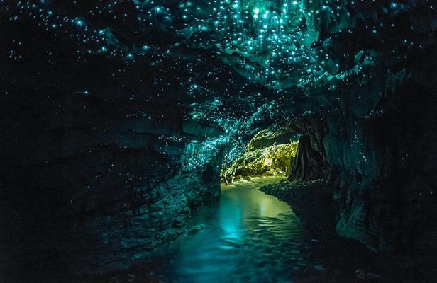 Waitomo Glowworm Cave Tour with Boat Ride