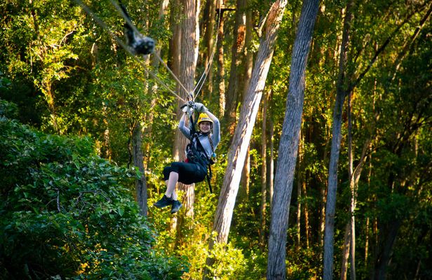 Kohala zip and dip