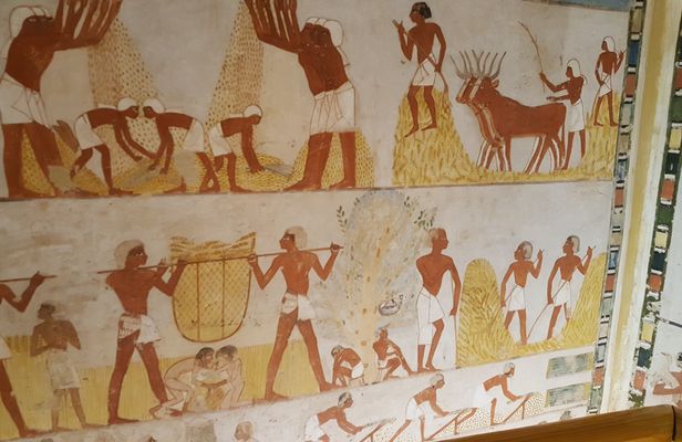 Guided tour of Valley of the Nobles, Medinat Habu and The Ramesseum from Luxor