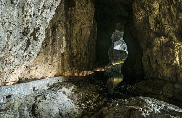Guided tour of the Lipica Stud Farm and Skocjan Caves from Trieste