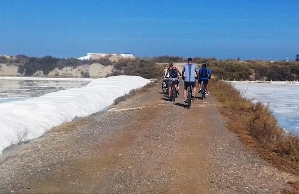 Ria Formosa cycling tour from Faro