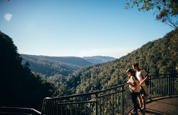 Natural Bridge and Springbrook tour