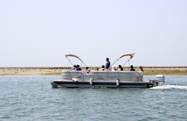 Ria Formosa birdwatching boat tour
