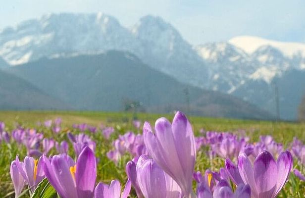 Zakopane and Tatra Mountains day tour from Krakow