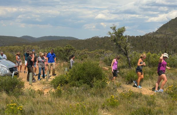 Blue Mountains full day private guided tour from Sydney