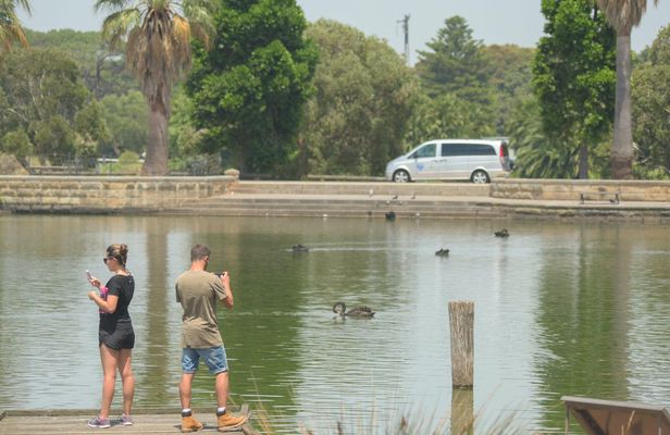 Afternoon highlights of Sydney City private tour