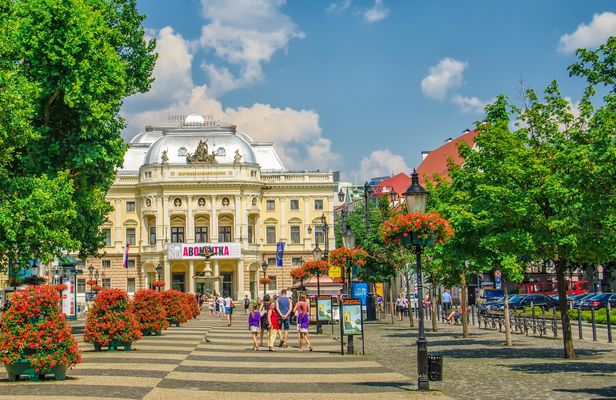 Bratislava walking tour with castle entrance ticket