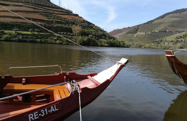 Guided tour of Aveiro and canal boat ride
