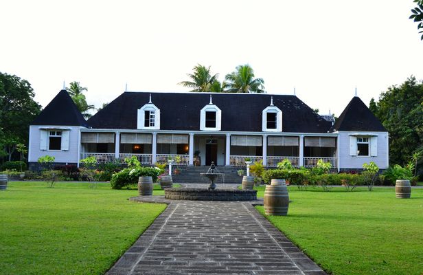 Bois Cheri tea tour