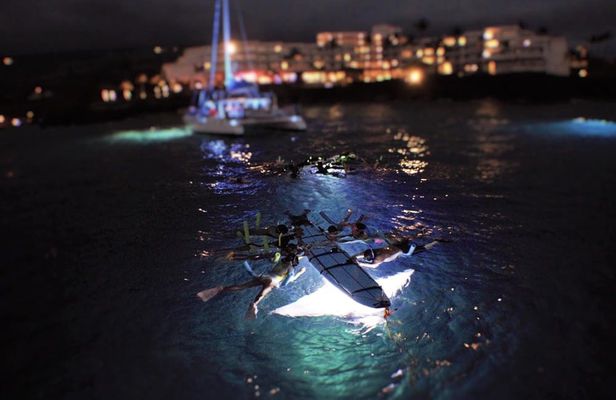 Late night manta ray snorkel experience